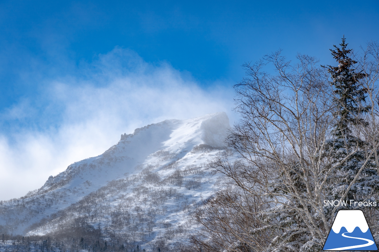 大雪山層雲峡・黒岳ロープウェイスキー場｜やっぱりここは別世界。標高1,520ｍのパウダーフィールド！